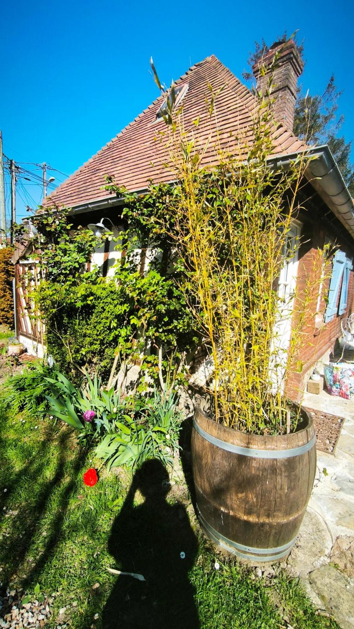 La Longere D'Auberville Bagian luar foto
